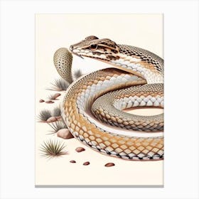 Western Diamondback Rattlesnake Vintage Canvas Print