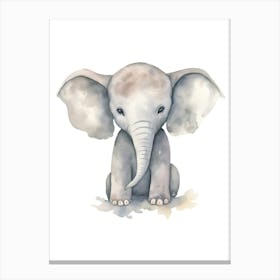 Baby Elephant Canvas Print