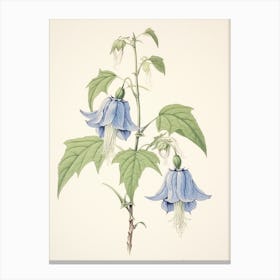 Kikyo Chinese Bellflower 2 Vintage Japanese Botanical Canvas Print