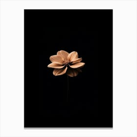 Daffodil 3 Canvas Print