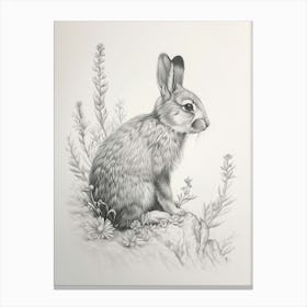 Silver Fox Rabbit Drawing 2 Canvas Print