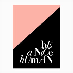 Be a Nice Human Canvas Print