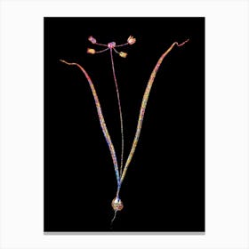 Stained Glass Allium Scorzonera Folium Mosaic Botanical Illustration on Black n.0031 Canvas Print