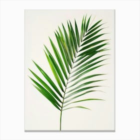 Palm Leaf 3 Canvas Print