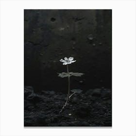 Black And White Flower 3 Canvas Print