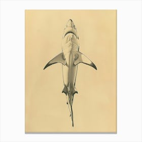 Mako Shark Vintage Illustration 1 Canvas Print