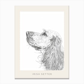 Irish Setter Line Sketch 1 Poster Canvas Print