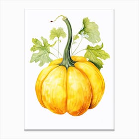 Buttercup Squash Pumpkin Watercolour Illustration 3 Canvas Print