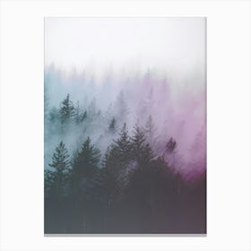 Pacific Northwest Forest Adventures Canvas Print