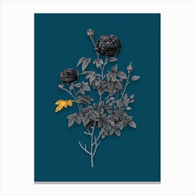 Vintage Burgundy Cabbage Rose Black and White Gold Leaf Floral Art on Teal Blue n.0881 Canvas Print