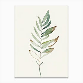 Valerian Leaf Minimalist Watercolour 1 Canvas Print