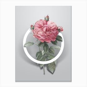 Vintage Giant French Rose Minimalist Botanical Geometric Circle on Soft Gray n.0118 Canvas Print