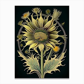 Compass Plant Wildflower Vintage Botanical 1 Canvas Print