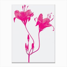 Hot Pink Gloriosa Lily 1 Canvas Print