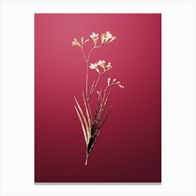 Gold Botanical Freesia on Viva Magenta n.2903 Canvas Print