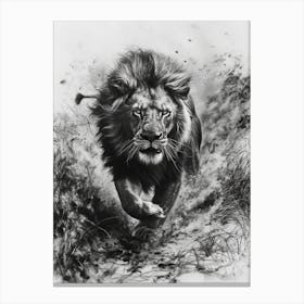 Barbary Lion Charcoal Drawing Hunting 3 Canvas Print