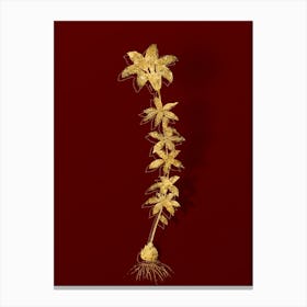 Vintage Wood Lily Botanical in Gold on Red n.0023 Canvas Print
