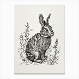 Britannia Petite Blockprint Rabbit Illustration 8 Canvas Print