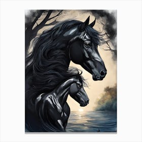 Black Horse And Foal Canvas Print