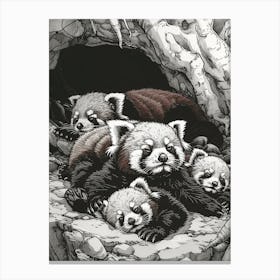 Red Panda Family Sleeping In A Cave Ink Illustration 4 Canvas Print