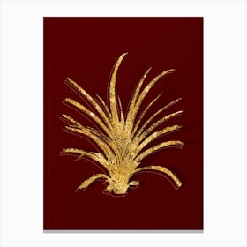 Vintage Pineapple Botanical in Gold on Red n.0372 Canvas Print
