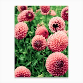 Let Yourself Bloom Canvas Print