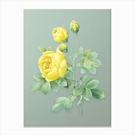 Vintage Yellow Rose Botanical Art on Mint Green n.0320 Canvas Print