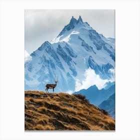 Deer In The Mountains Canvas Print