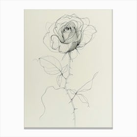 English Rose Black And White Line Drawing 19 Canvas Print