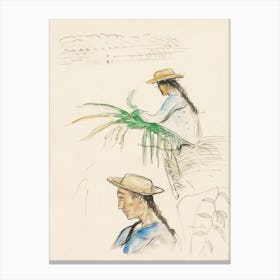 Sketches Of Figures, Pandanus Leaf, And Vanilla Plant, Paul Gauguin Canvas Print