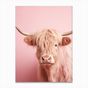 Cute Photographic Portrait Of Pastel Pink Highland Cow 3 Canvas Print