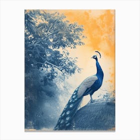 Vintage Navy Blue & Orange Peacock On A Thatched Roof Canvas Print