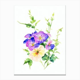 Morning Glory Watercolour Flower Canvas Print