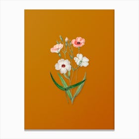 Vintage Dark Eyed Viscaria Flower Branch Botanical on Sunset Orange Canvas Print