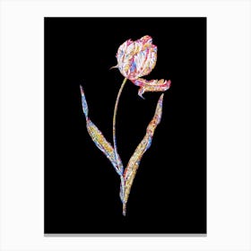 Stained Glass Didier's Tulip Mosaic Botanical Illustration on Black n.0074 Canvas Print