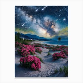 Starry Night 21 Canvas Print