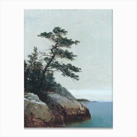 Vintage Painting Lone Tree On A Rock Canvas Print