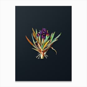 Vintage Pygmy Iris Botanical Watercolor Illustration on Dark Teal Blue Canvas Print