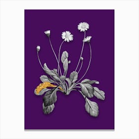Vintage Daisy Flowers Black and White Gold Leaf Floral Art on Deep Violet n.0819 Canvas Print