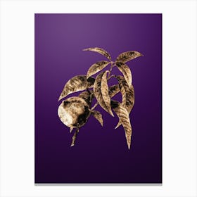 Gold Botanical Peach on Royal Purple n.3581 Canvas Print