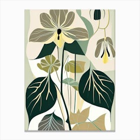 Mayapple Wildflower Modern Muted Colours 2 Canvas Print