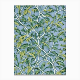 Holly tree Vintage Botanical Canvas Print