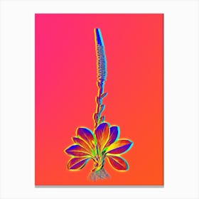 Neon Blazing Star Botanical in Hot Pink and Electric Blue n.0106 Canvas Print