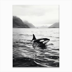 Centred Orca Whale Black And White Photography Canvas Print