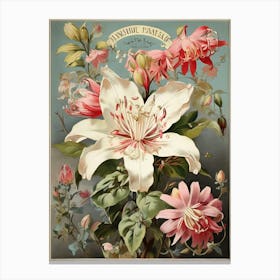 Spring Floral French Poster Honeysuckle Art Print 3 Canvas Print