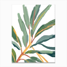 Eucalyptus 18 Canvas Print