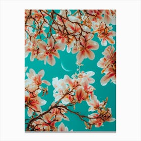 Midsummer Magnolia Canvas Print