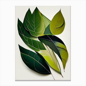 Willow Leaf Vibrant Inspired 1 Canvas Print