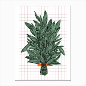 Geometric Sage Plant Canvas Print