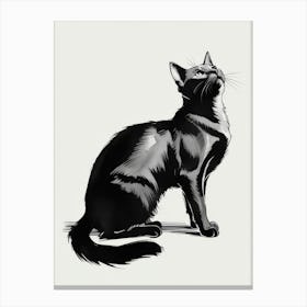 Black Cat 3 Canvas Print